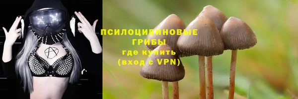 стафф Армянск