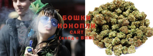 ПСИЛОЦИБИНОВЫЕ ГРИБЫ Аркадак
