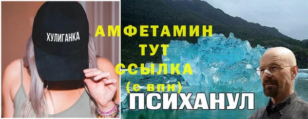 ПСИЛОЦИБИНОВЫЕ ГРИБЫ Аркадак