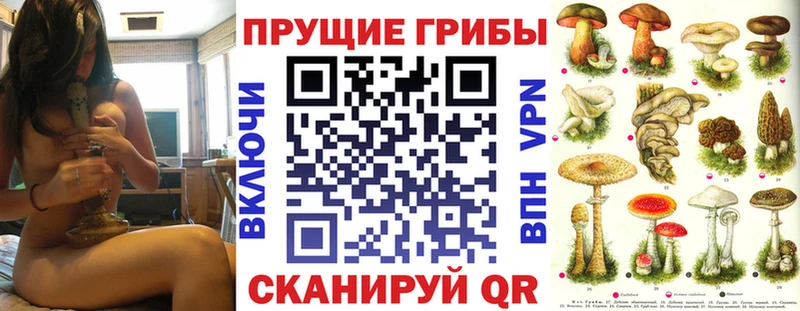 Псилоцибиновые грибы GOLDEN TEACHER  даркнет сайт  KRAKEN маркетплейс  Баймак 